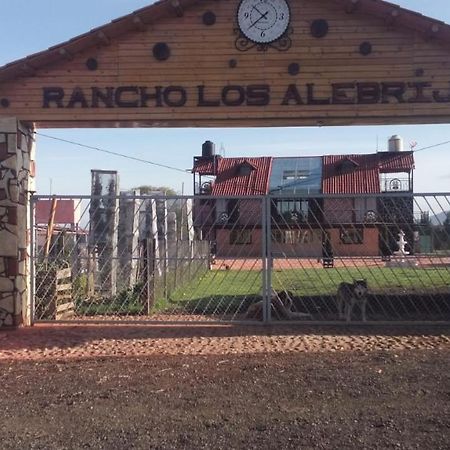 Rancho Los Alebrijes Zacatlán מראה חיצוני תמונה