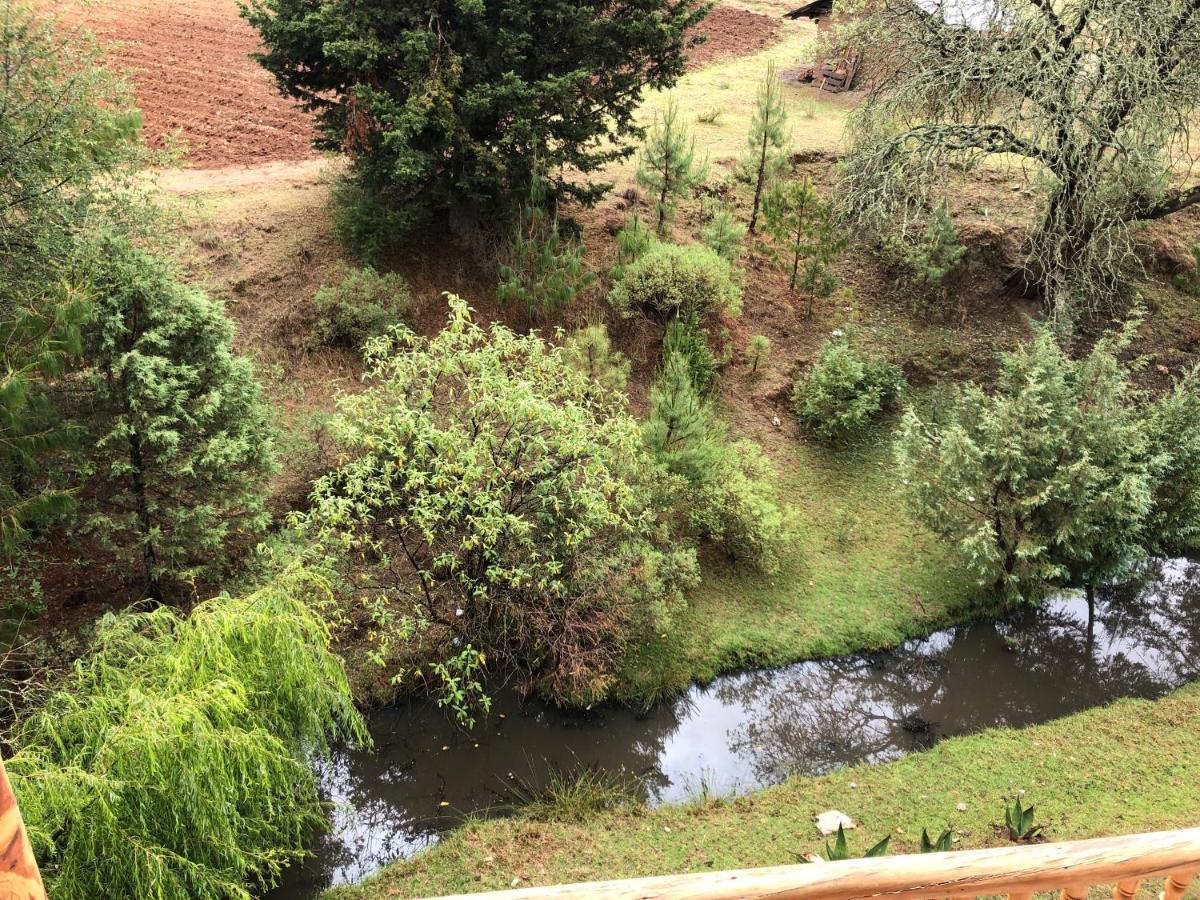 Rancho Los Alebrijes Zacatlán מראה חיצוני תמונה